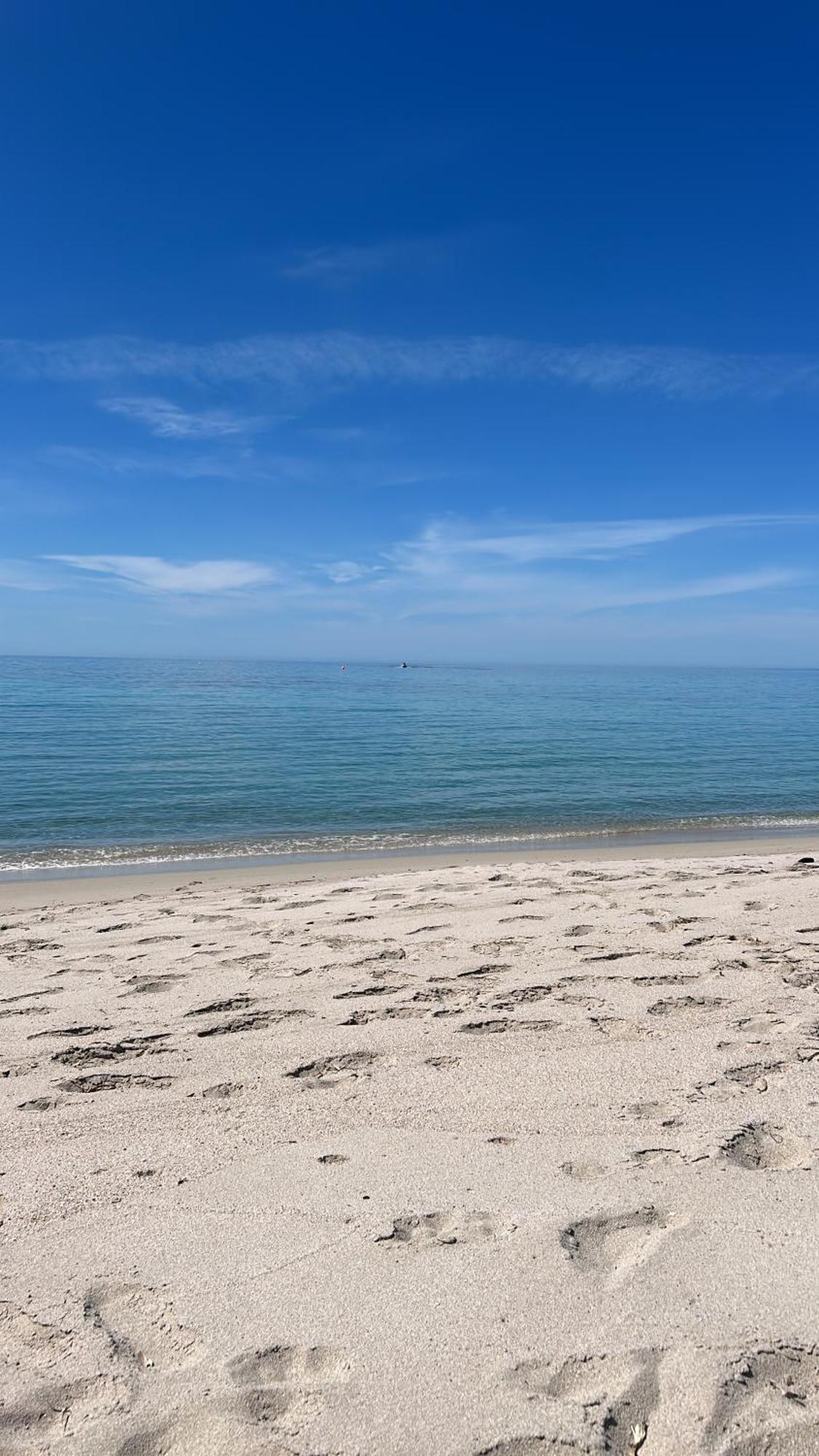 אז'אקסיו Duplex F4 Sanguinaires A 5 Mn De La Plage מראה חיצוני תמונה